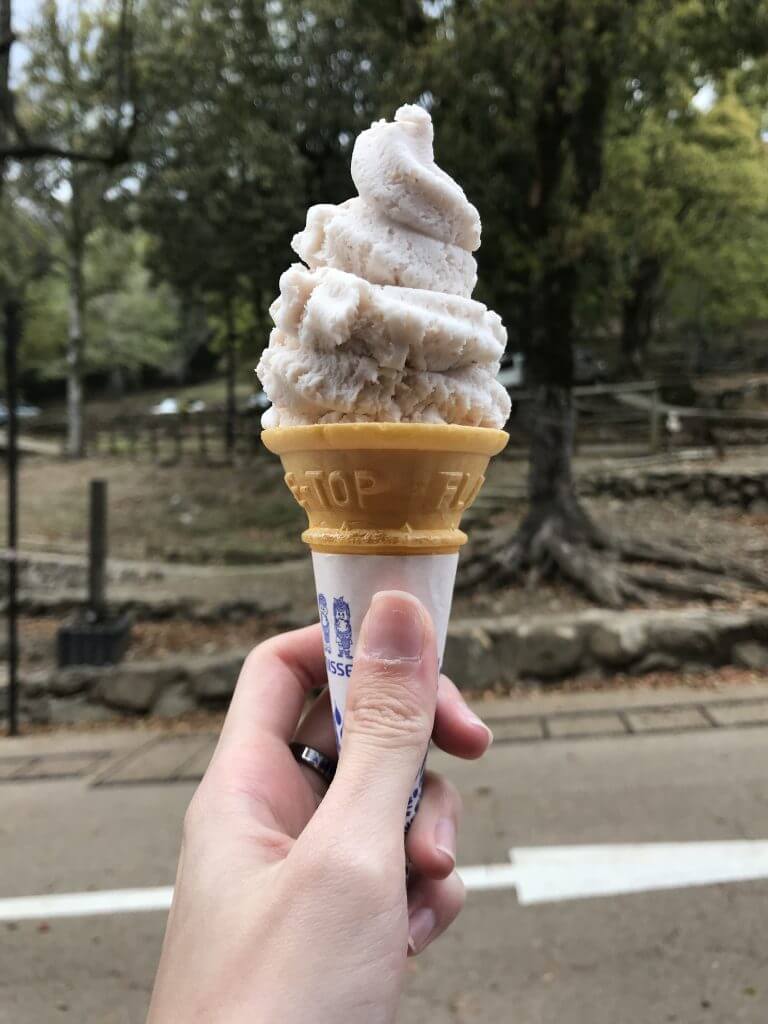Sakura flavored ice cream at Nara