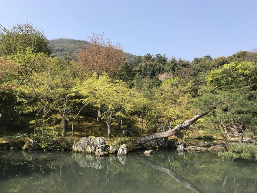 Arashiyama Tenryu-ji Temple