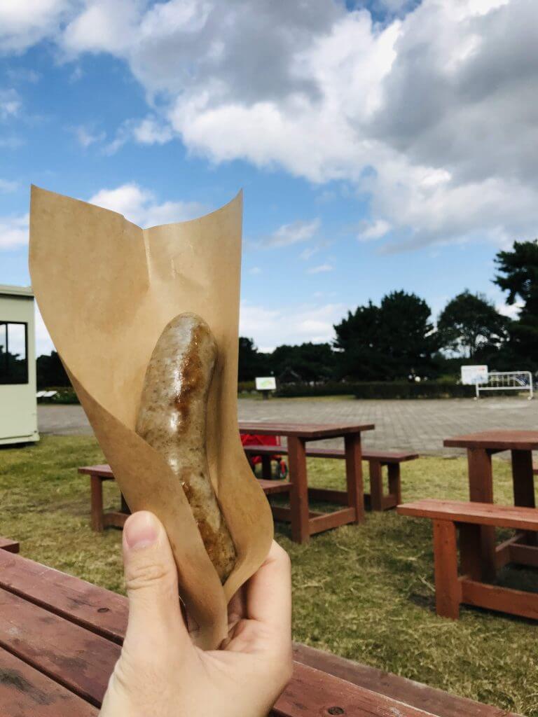 Hotdog at Hitachi Seaside Park