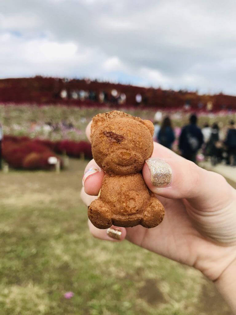 Bear snacks at Hitachi Seaside Park
