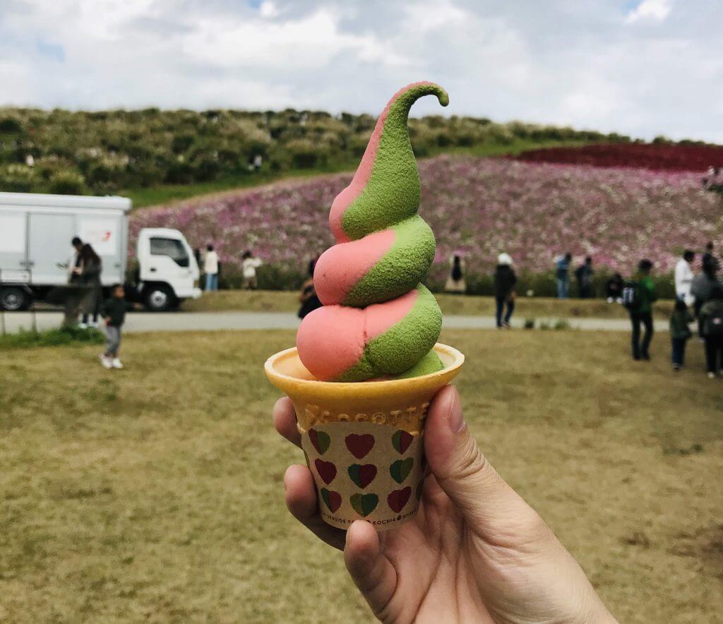 Ice cream at Hitachi Seaside Park