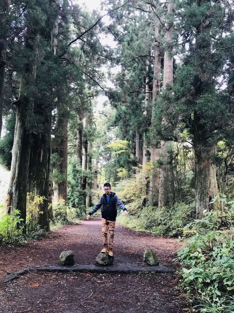 Ancient Cedar Path