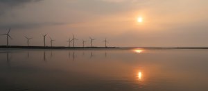 Day 3 - Gaomei Wetlands