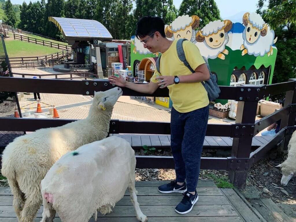 Feeding sheeps at Qing Jing Farm