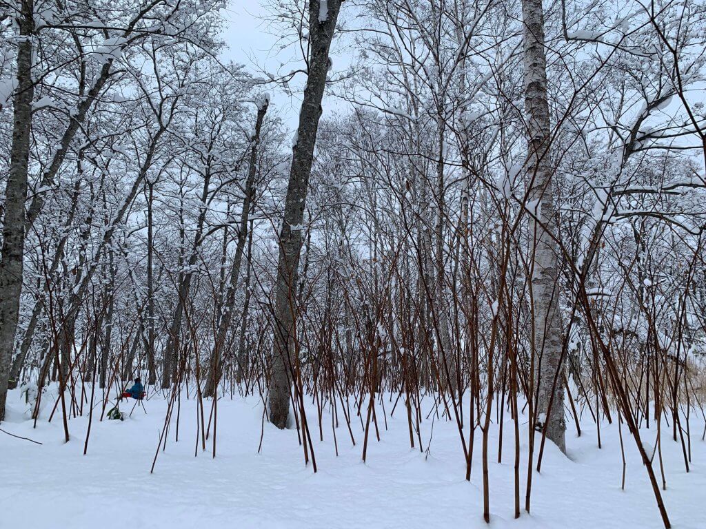 Snowmobiling in Niseko