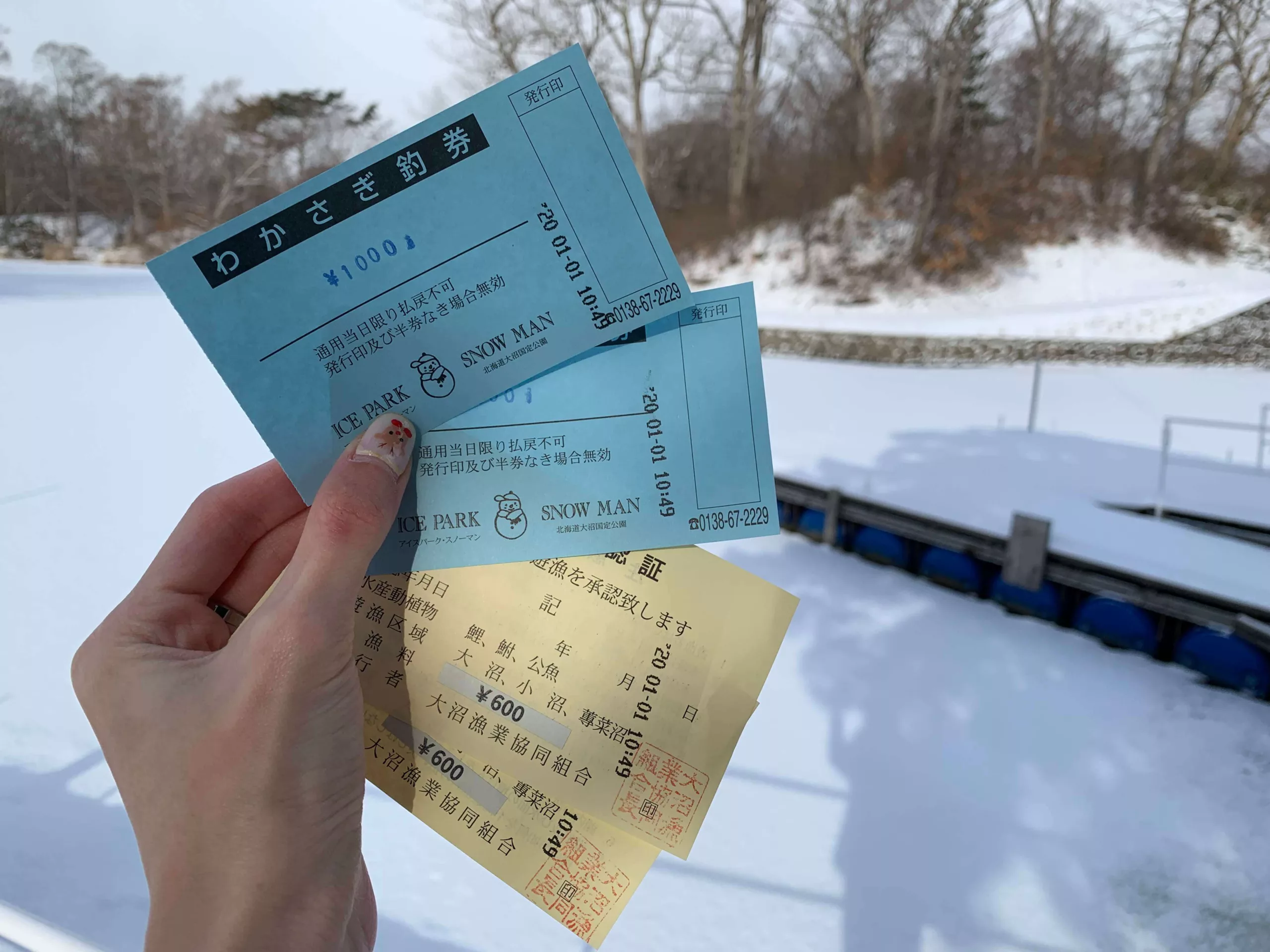 Tickets to Smelt Ice Fishing at Onuma Quasi-National Park